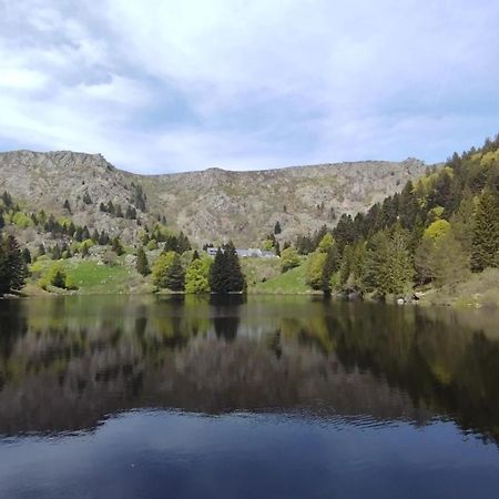 Aux Balcons De La Vallee Soultzeren Bilik gambar