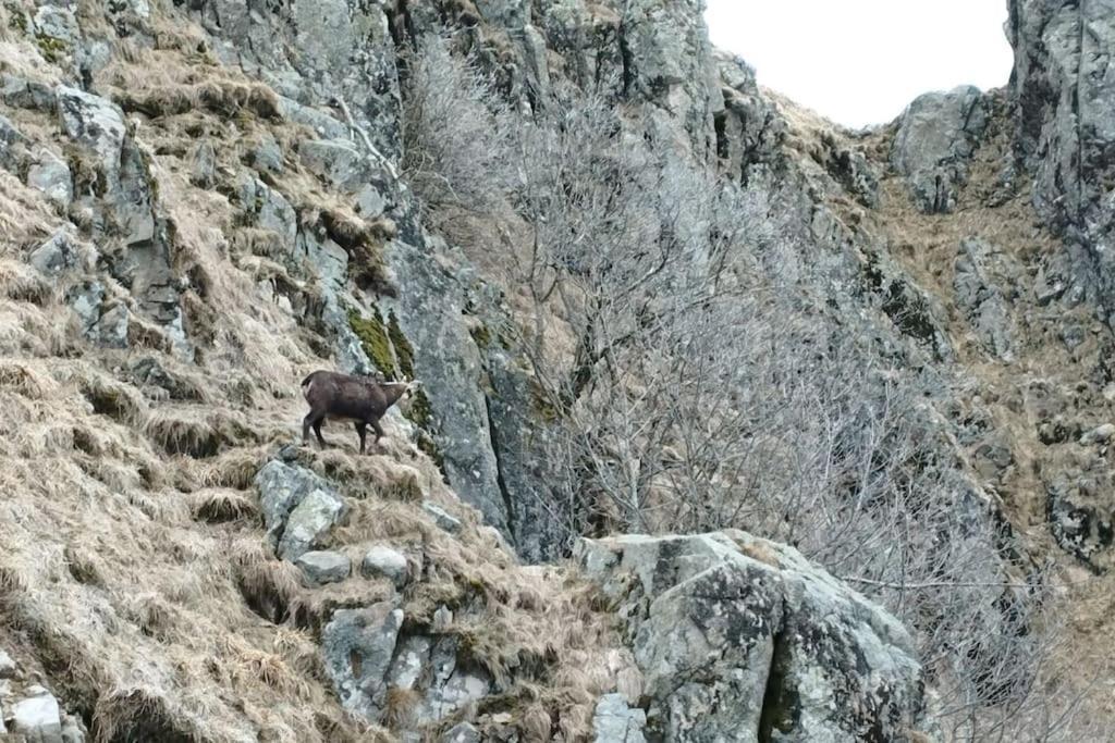 Aux Balcons De La Vallee Soultzeren Luaran gambar